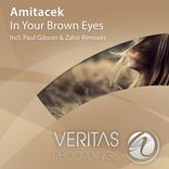 Artwork for "In Your Brown Eyes"
