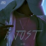 Artwork voor "I Just"