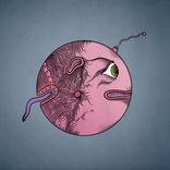 Artwork voor "Abbott"