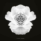 Artwork für "D'ark (DAWN)"