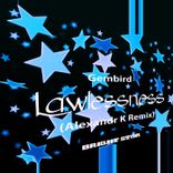 Artwork voor "Lawlessness"