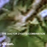 Artwork for "The Doctor Zygote Combination (Vol. 2)"