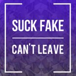 Artwork für "Cant Leave"