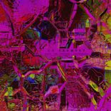 Artwork for "Lo Trumpet"