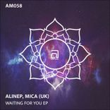 Artwork voor "Waiting for You"