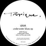 Artwork for "Underwater Blues"