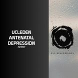 Portada para "Antenatal Depression"