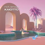 Artwork for "Not Enough"