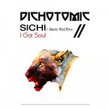 Artwork voor "I Got Soul"