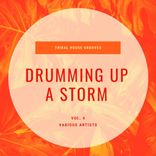 Portada para "Drumming Up A Storm (Tribal House Grooves), Vol. 4"