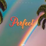 Portada para "Perfect"