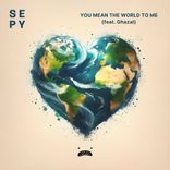 You Mean The World To Me