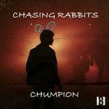 Chasing Rabbits