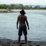 Artwork für "Pajarillo No Pierdas Vuelo (En Vivo)"