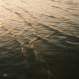 Artwork for "Lose Control"