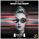 Artwork for "What you want"