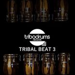 Artwork for "Tribal Beat 3"