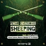 Artwork for "Sheeping"
