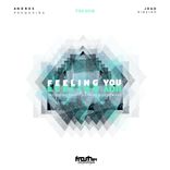 Artwork voor "Feeling You"