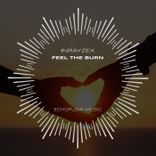 Artwork for "Feel the Burn"
