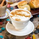 What The Heart Wants