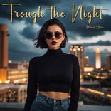 Artwork für "Trough the Night"