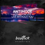 I Could Never Live Without You