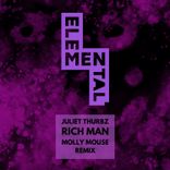 Artwork for "Rich Man (Molly Mouse Remix)"