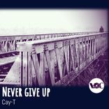 Artwork for "Never Give Up (Original Mix)"