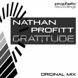 Artwork for "Gratitude"