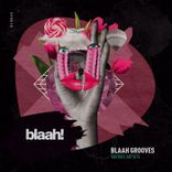 Artwork für "blaah! Grooves"