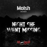 Night She Went Missing