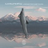 Artwork for "A Message From Planet Dolphin"