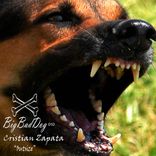 Artwork for "Outsize"