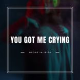 Artwork für "You Got Me Crying"