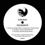 Artwork for "The Boxer"