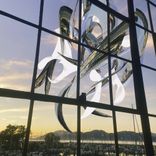 Portada para "Crash & Fall"