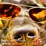 Artwork for "Go To The City"