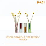 Portada para "Funky"