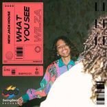 Portada para "What You See"