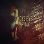 Artwork for "Bye Bye Panke"