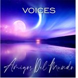 Artwork for "VOICES"