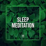 Artwork für "Sleep Meditation"