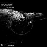 Artwork for "Black Raven"