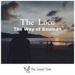 Artwork for "The Way of Bauman"