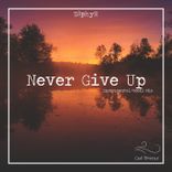 Portada para "Never Give Up"