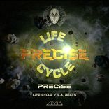 Artwork for "Life Cycle"