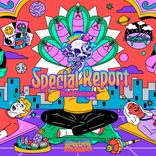 Artwork voor "Special Report"