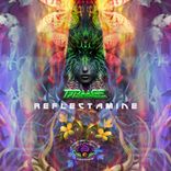 Artwork for "Reflectamine"