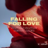 Portada para "Falling for Love"